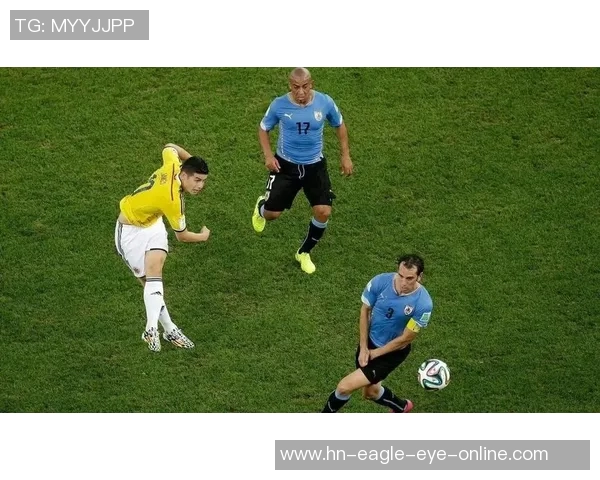 哈字球星大盘点：那些足球场上闪耀的哈字名字和传奇故事